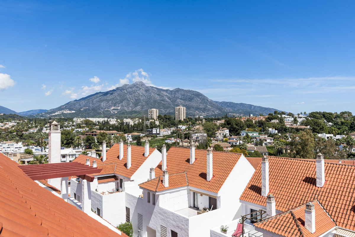 View over La Maestranza rooftops towards La Concha mountain, Nueva Andalucía